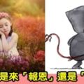 孩子來「報恩」還是「討債」，這幾點表現再明顯不過，妳的孩子是哪種？