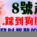 8月8號開始，踩到「狗屎運」的生肖，想不發財都難