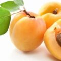日常水果的知識集錦，是醫學界公認的最具食療效益的水果。