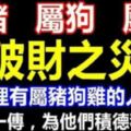 你家裡有屬豬狗雞的人嗎？他們未來三個月，難逃破財之災