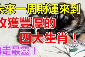 未來一周財運來到收獲豐厚的四大生肖！轉走最靈！