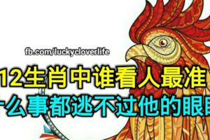 12生肖中誰看人最准，什麼事都逃不過他的眼睛