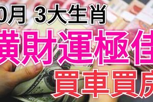 10月橫財運極佳，有機會買車買房的3大生肖！