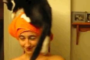 網友每次洗完澡貓咪都要跳到她的頭上趴著這麼粘人也是醉了