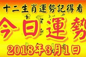 十二生肖運勢記得看，今日運勢：2018年3月1日