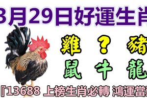 3月29日好運生肖，財源廣進共天長！【雞+？+豬+鼠+牛+龍】『13688上榜必轉鴻運當頭』