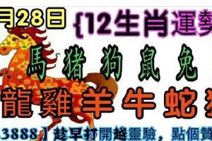 【12生肖運勢】4月28日星期六【23888】趁早打開越靈驗，點個贊吧！