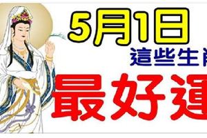 5月1日開始，最好運的八大生肖。