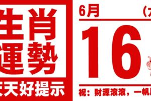 12生肖天天生肖運勢解析（6月16日）