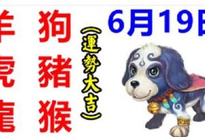 6月19日生肖運勢【羊、狗、虎大吉】【豬、龍、猴運勢大吉】