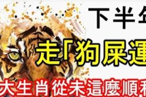 下半年走「狗屎運」，5大生肖從未這麼順利！