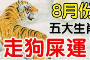 8月就走狗屎運的5個生肖，看看有你嗎？