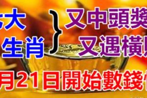 7月21日，7大生肖又中頭獎，又遇橫財！今天開始到年底數錢忙！