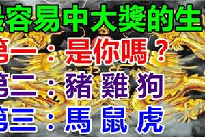 8月最容易中大獎的生肖，據說轉走的人中獎中不停！(靈驗！）