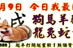 8月9日，今日我最旺！狗龍馬兔羊蛇豬牛！【55888】越早打開越靈驗！點個讚吧！