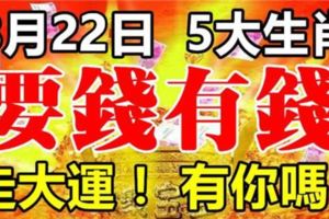 8月22日開始，走大運，要錢有錢的5大生肖！