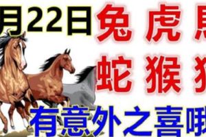 8月22日生肖運勢_兔、虎、馬大吉