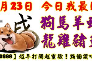 8月23日，今日我最旺！狗馬羊蛇龍雞豬兔！【90888】越早打開越靈驗！點個讚吧！