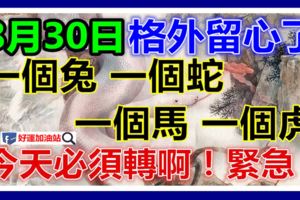 8月30日要格外留心了，一個兔，一個蛇，一個馬，一個虎！