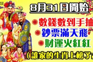 8月31日開始，數錢數到手抽筋！鈔票滿天飛，錢財奔你的生肖！