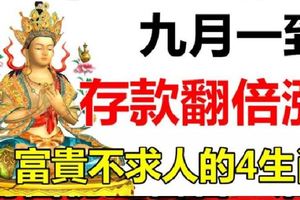 9月一到，存款翻倍漲，再也不求人的4個生肖