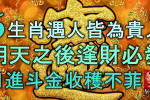 5生肖遇人皆為貴人，明天之後，逢財必發，日進斗金，收穫不菲！