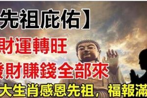 【先祖庇佑】這些生肖感恩先祖，福報滿滿。