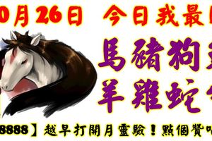 10月26日，今日我最旺！馬豬狗兔羊雞蛇牛！【18888】越早打開越靈驗！點個讚吧！