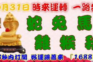 10月31日時來運轉一路發，蛇兔馬雞猴豬，88秒內打開，好運跟著來『16888』