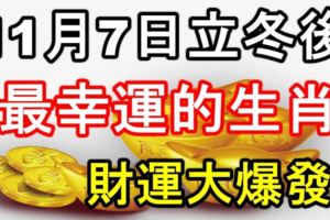 11月7日立冬後，最幸運的生肖，財運大爆發！