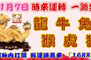 11月7日時來運轉一路發，龍牛兔猴虎狗，88秒內打開，好運跟著來『16888』