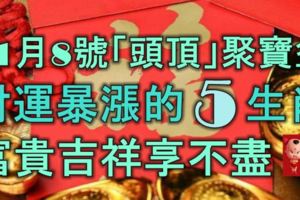 11月8號「頭頂」聚寶盆，財運暴漲的5生肖，富貴吉祥享不盡！