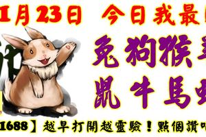 11月23日，今日我最旺！兔狗猴羊鼠牛馬蛇！【11688】越早打開越靈驗！點個讚吧！