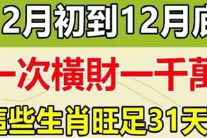 這些生肖12月初到12月底，橫財不斷，旺足31天！