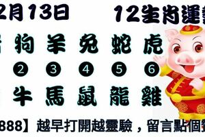 2018年12月13日，星期四農歷十一月初七（戊戌年甲子月己卯日）