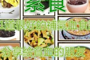 21清淡（素食）道很好的補氣血食譜，分享給貧血的朋友~