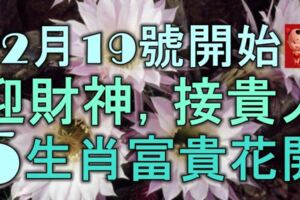 12月19號開始，迎財神，接貴人，苦難熬到頭，5大生肖富貴花開！