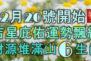 12月20號開始，吉星庇佑運勢飄紅，財源堆滿山的6大生肖！