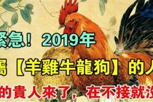 緊急！2019年，屬【羊雞牛龍狗】的人，貴人扶吉星照，翻身交好運，快接