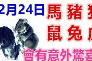 12月24日生肖運勢_馬、豬、狗大吉