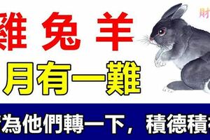 屬雞，兔，羊的人，1月有一難！請為他們祈福，好運降臨