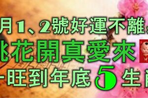 1月1、2號開始，好運不離身，桃花開真愛來，一旺到年底的5大生肖！