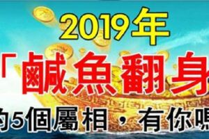 2019年鹹魚翻身的5個屬相，貧民也能變地主