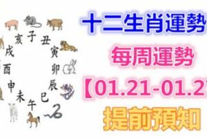 十二生肖運勢：每周運勢【01.21-01.27】提前預知！