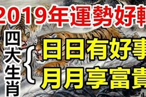 2019年運勢好轉的四大生肖，日日有好事，月月享富貴