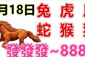 2月18日生肖運勢_兔、虎、馬大吉