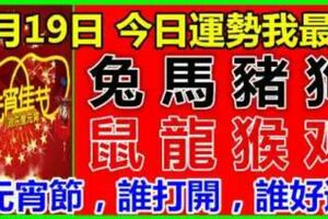 2月19日，星期二，十二生肖今日運勢【元宵節，誰打開，誰好運】