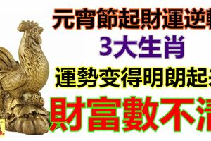 元宵節起財運逆轉，一切運勢都會變得明朗起來的生肖，財富數不清