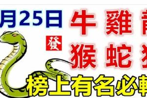 2月25日生肖運勢_牛、雞、龍大吉