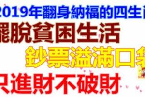 2019年翻身納福的四生肖，鈔票溢滿口袋，只進財不破財